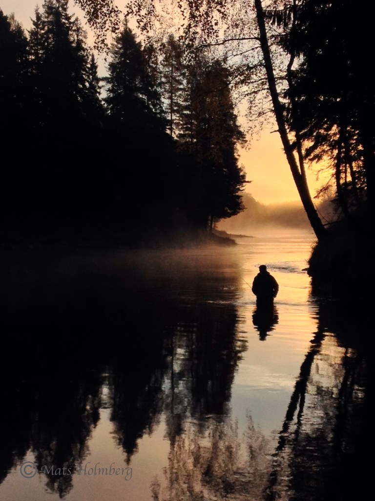 Foto Mats Holmberg Prästholmarna i motljus 14/10 2013