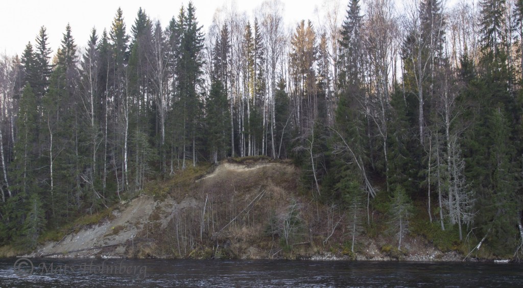 Foto Mats Holmbertg . Erosion vid Stocken. Slutet av oktober 2013.