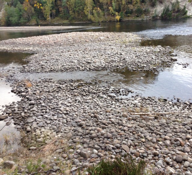 Allstaöarna lördagen den 5/10 2013 kl 08.50