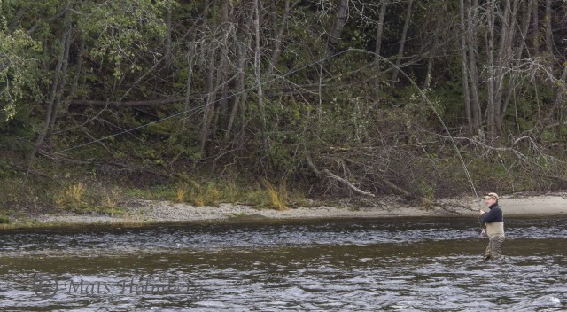 Öringsdrillning lärdagen den 5/10 2013. Foto Mats Holmberg