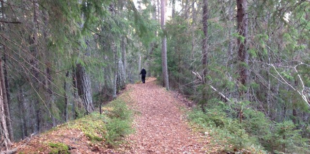Foto Leo Oras. Grenforsens naturreservat