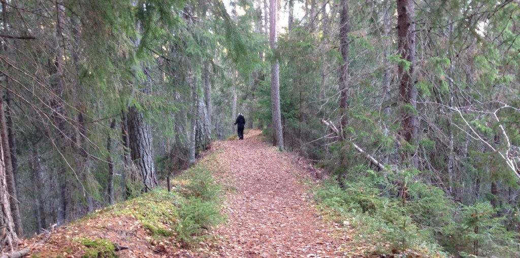 Foto Leo Oras. Grenforsens naturreservat