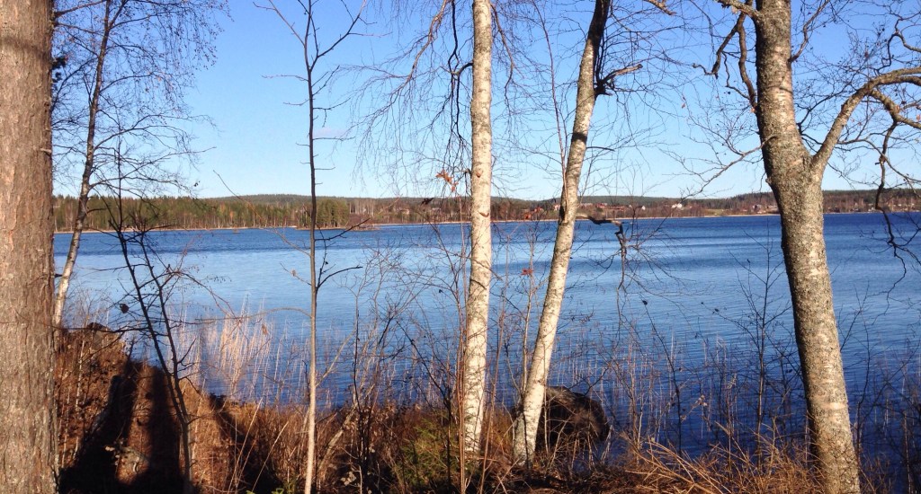 Foto Leo Oras Foto från sjön Öjen, Njurunda, vars vatten via Stångån rinner ut i Ljungan.