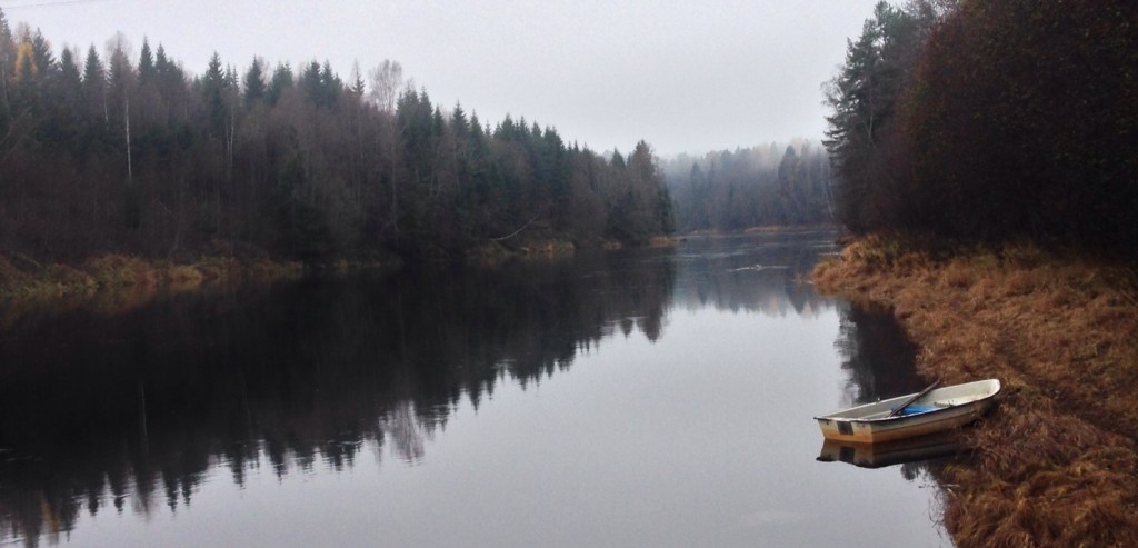 Foto Leo Oras  Ljungan uppströms Vattenverket i Nolby lördagen den 26/10 2013