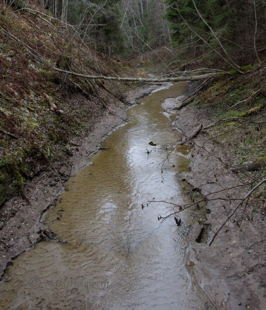 Foto Mats Holmberg Västbobäcken vid mynningen