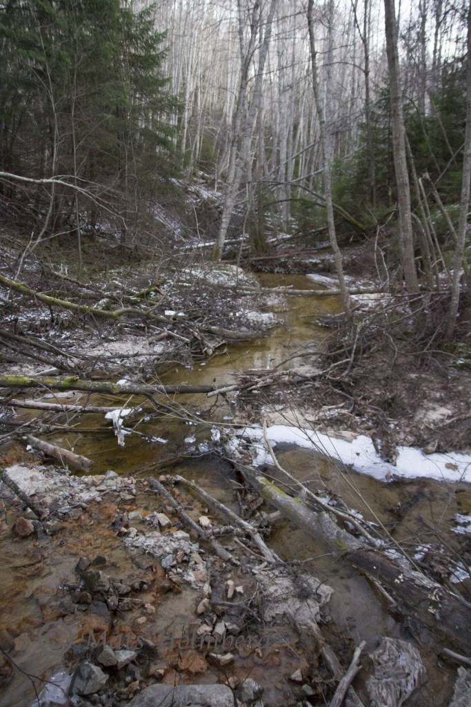 Foto Mats Holmberg Västbobäcken vid crossbanan