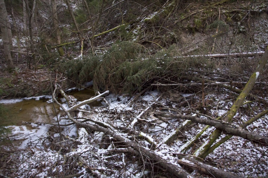Foto Mats Holmberg Västbobäcken vid crossbanan