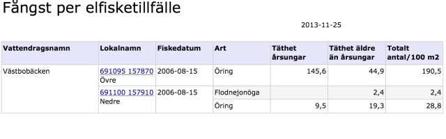 Västbobäcken elfiske 2006