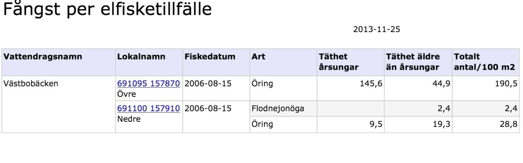 Västbobäcken elfiske 2006