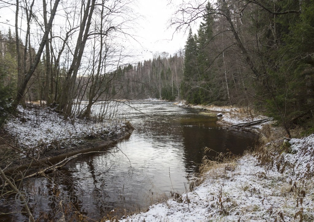 Foto Mats Holmberg. Tunomsbäcken. Mynningen.