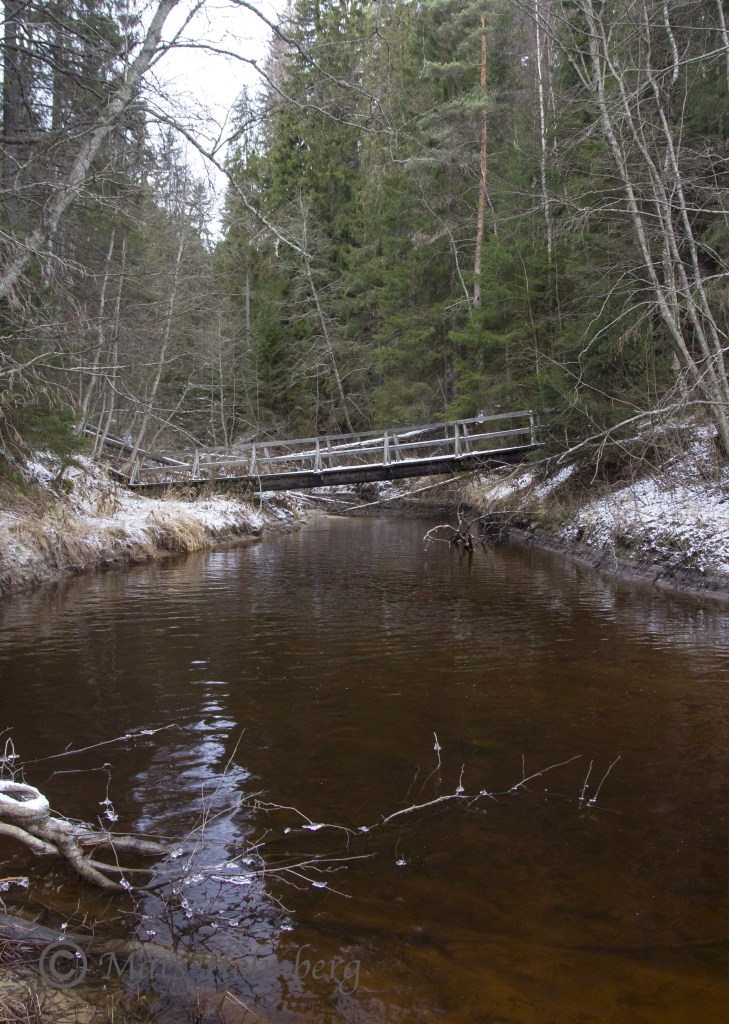 Foto Mats Holmberg. Tunomsbäcken. Mynningen.