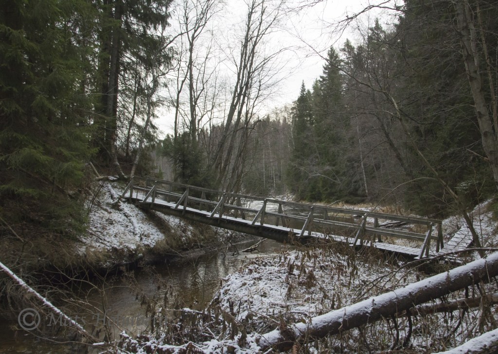 Foto Mats Holmberg. Tunomsbäcken. Bro över Tunomsbäcken.