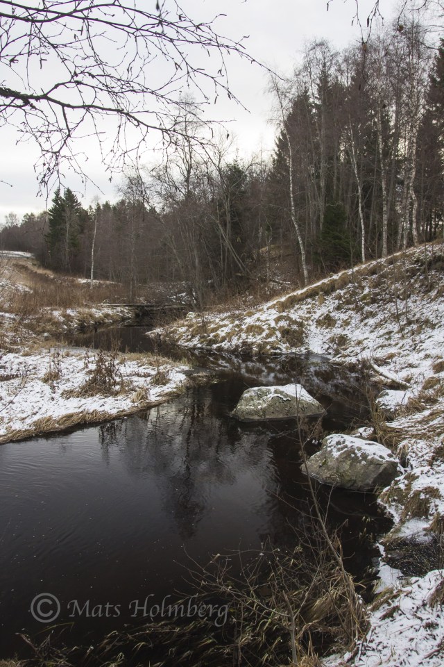 Foto Mats Holmberg. Tunomsbäcken. Tunbyn.