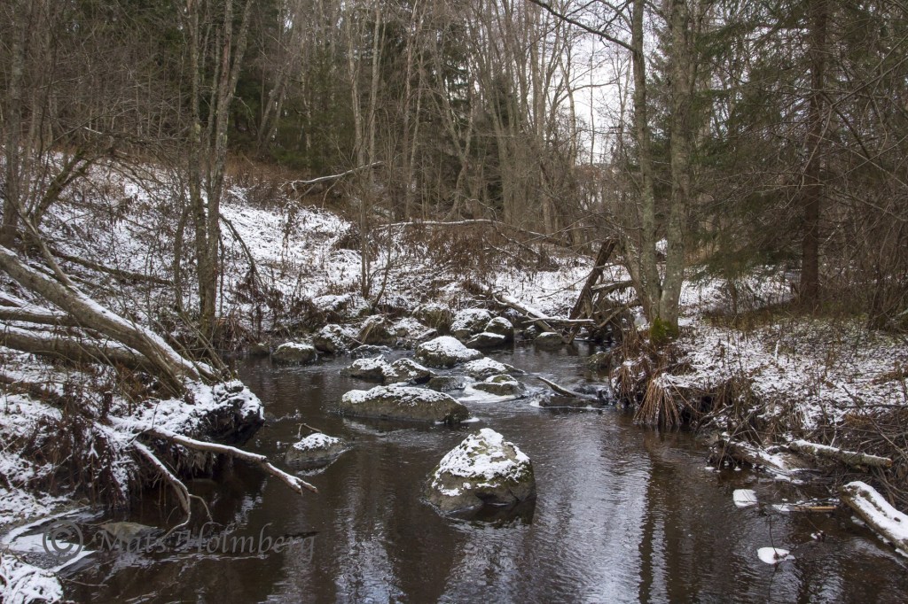 Foto Mats Holmberg. Tunomsbäcken. Tunbyn.