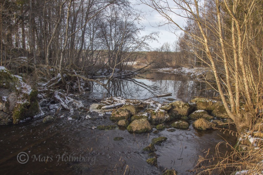 Foto Mats Holmberg. Tunomsbäcken. Vandringshinder. Klingstatjärn.