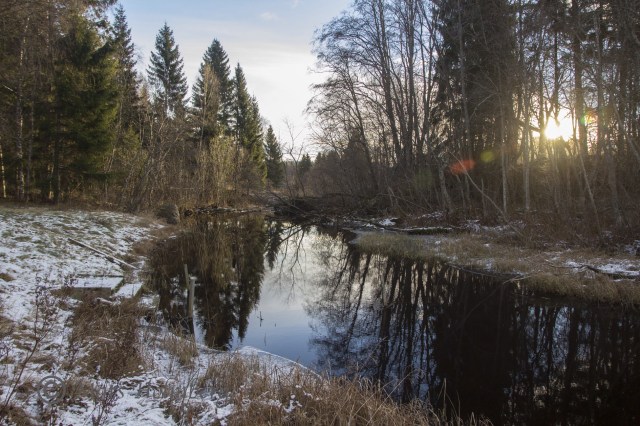 Foto Mats Holmberg. Tunomsbäcken. Utlopp Klingstatjärn i motljus.