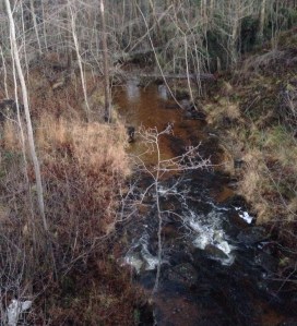 Vaplebäcken månadskiftet okt nov 2013. Nära nya E4. Foto Leo Oras