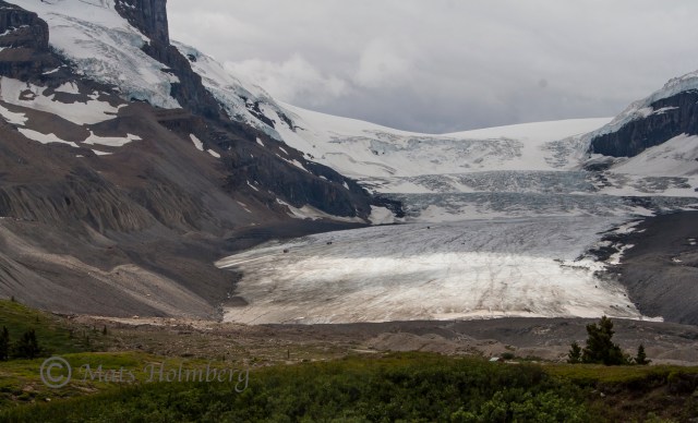 Foto Mats Holmberg Athabasca ice fields 