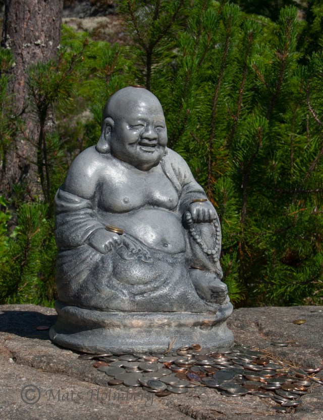 Foto Mats Holmberg Bidragsmottagare i Villa Fraxinus Nordingrå 