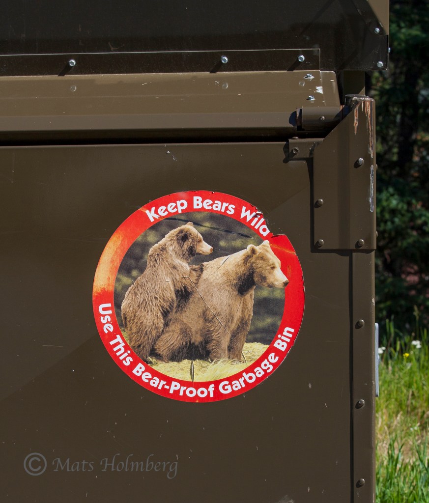 Foto Mats Holmberg Björnsäker soptunna