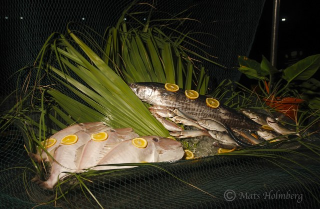 Foto Mats Holmberg  Fisk till middag i Hainan
