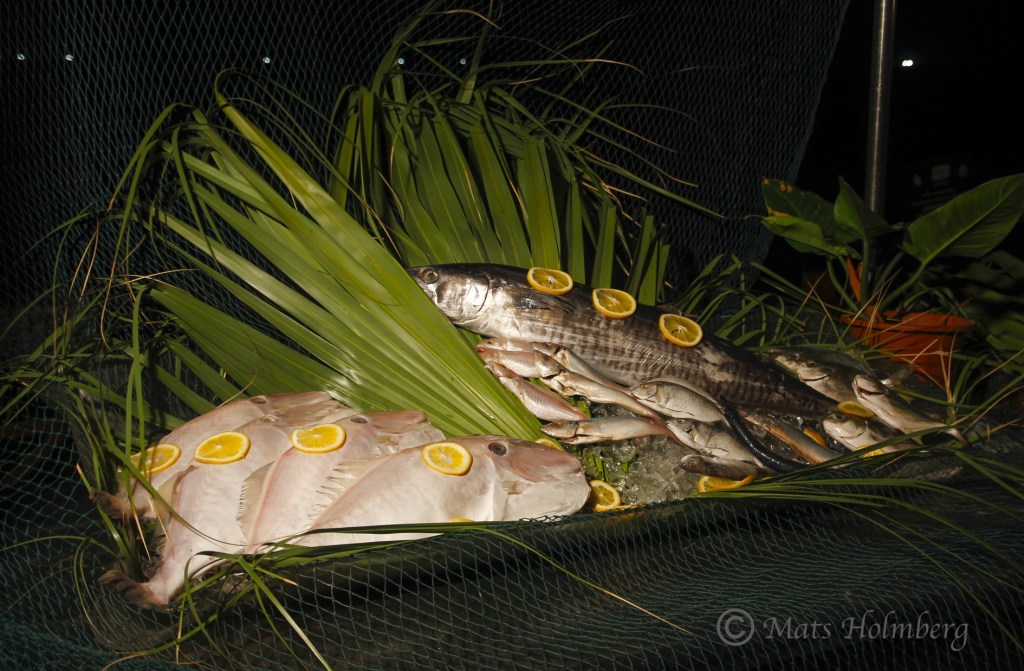 Foto Mats Holmberg Fisk till middag i Hainan