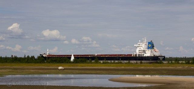 Foto Mats Holmberg  David och Goliat i farleden till Luleå