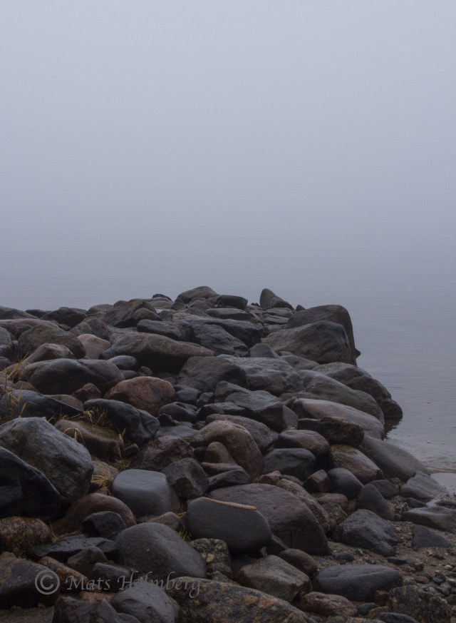 Foto Mats Holmberg Stenpir i dimma på Brändön