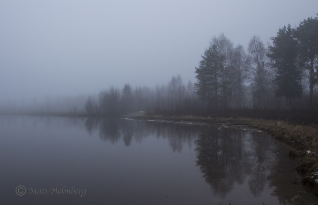 Foto Mats Holmberg Strand längs Lule älv i dimma