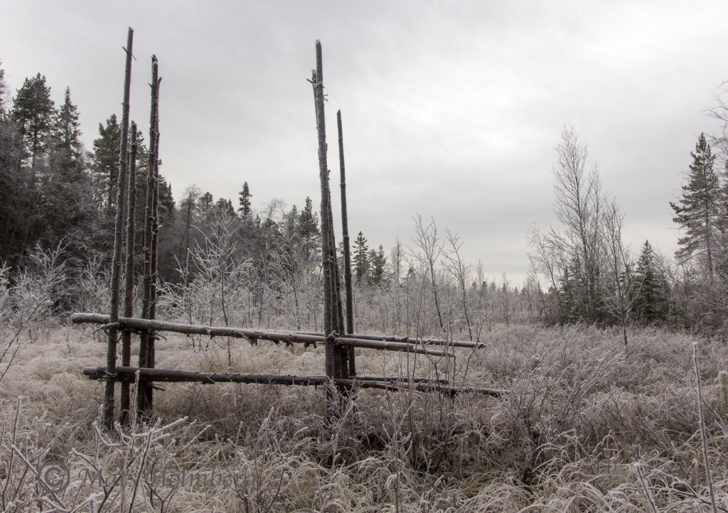 Foto Mats Holmberg Frostig äng vid Storforsen