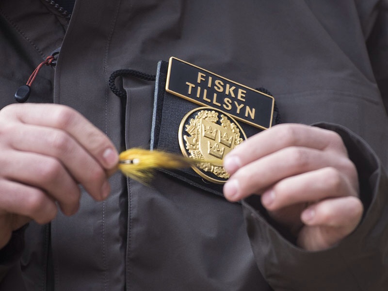 Photo Svanthe Harström.  River Ljungan Sweden, Fishing hosts