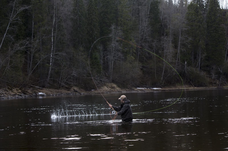 Photo Svanthe Harström.  River Ljungan Sweden, Flyfisher