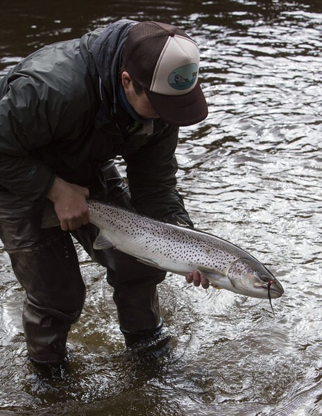 Photo Svanthe Harström.  River Ljungan Sweden, seatrout