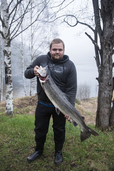 Photo Svanthe Harström Hybrid between trout and salmon