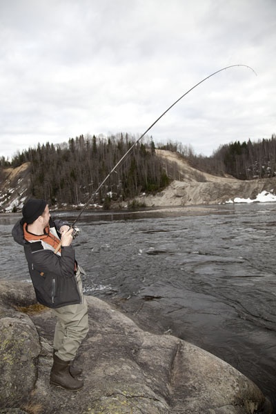 Photo Svanthe Harström Big fish. River Ljungan, Sweden