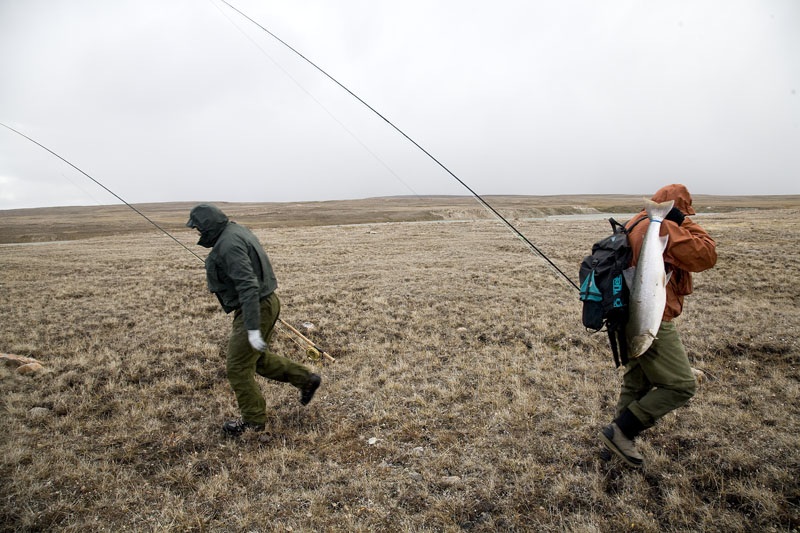 Photo Svanthe Harström Meeting on the tundra, Canada