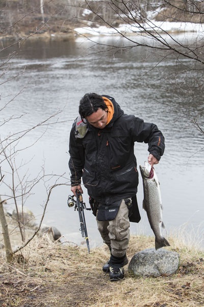 Photo Svanthe Harström Nice catch. Seatrout river Ljungan, Sweden