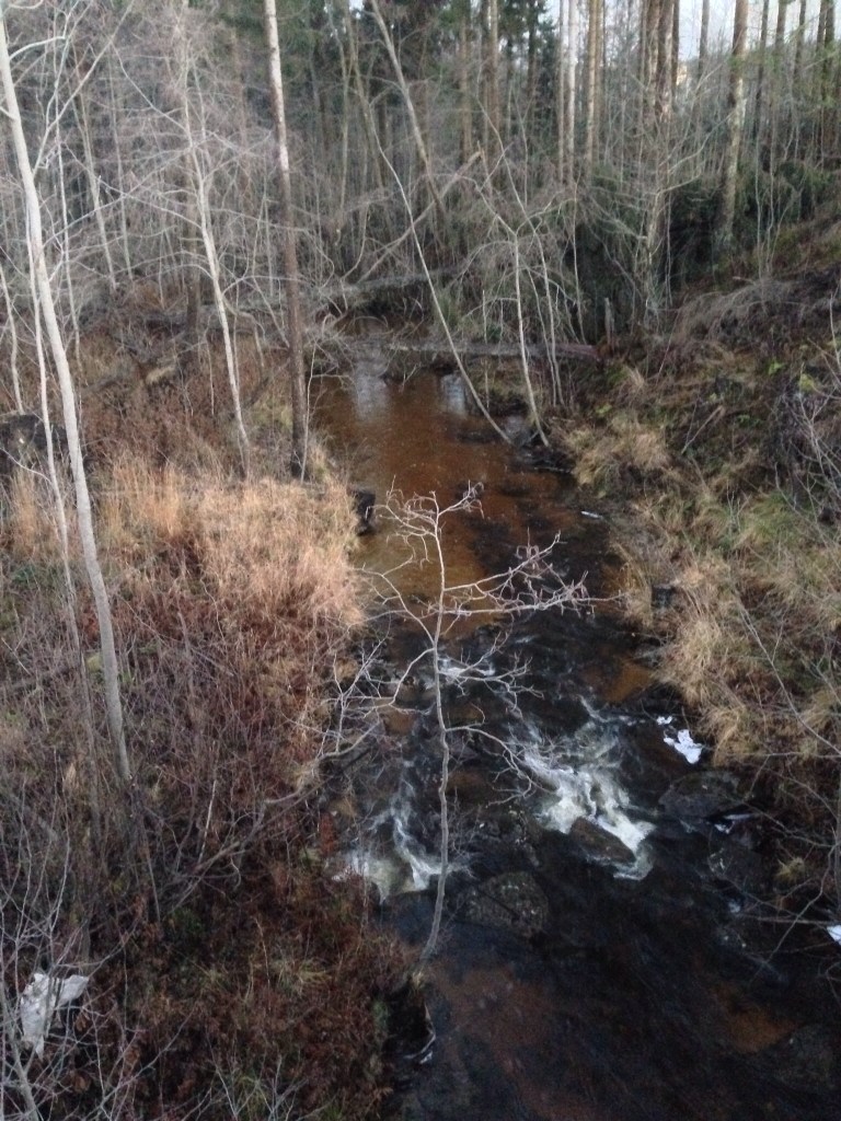 Foto Leo Oras  Vaplebäcken okt-nov 2013