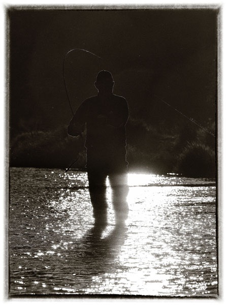 Photo Svanthe Harström  Flyfisher in river Ljungan, Sweden, Viforsen
