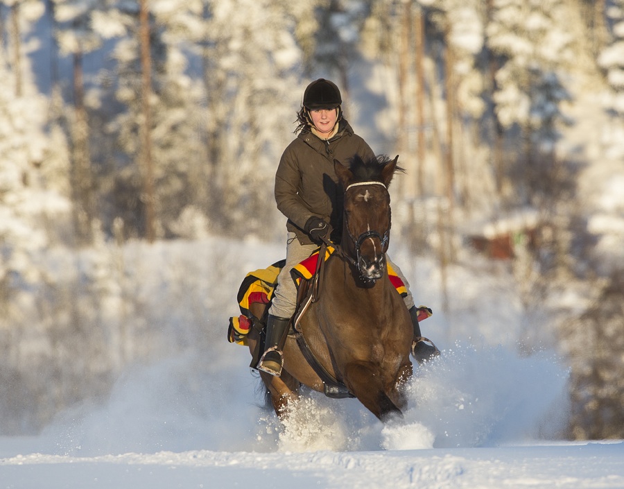 Photo Svanthe Harström Horse and rider in snow. Näset, Sweden