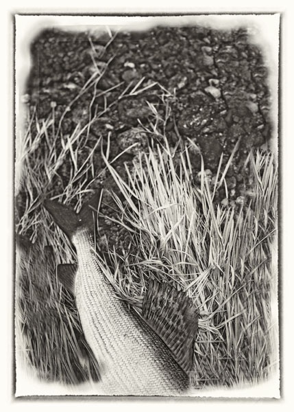 Photo Svanthe Harström Greyling