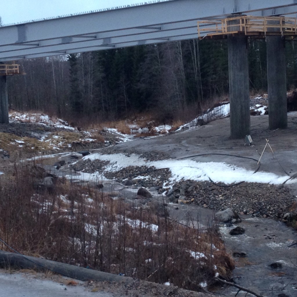Foto Leo Oras Vaplebäcken den 25/12 2013
