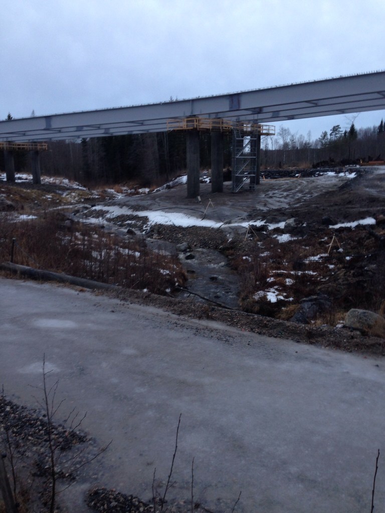 Foto Leo Oras Vaplebäcken den 25/12 2013 