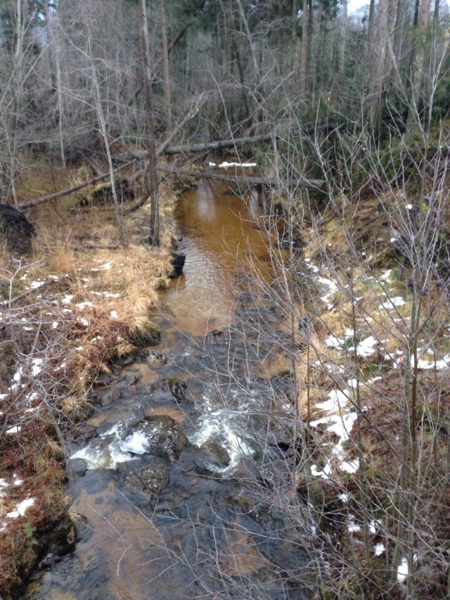 Foto Leo Oras Vaplebäcken den 25/12 2013 