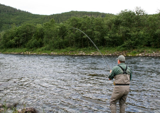 Foto Mats Holmberg Skicklig laxdrillning i Gammelstuhölen Orkla C 