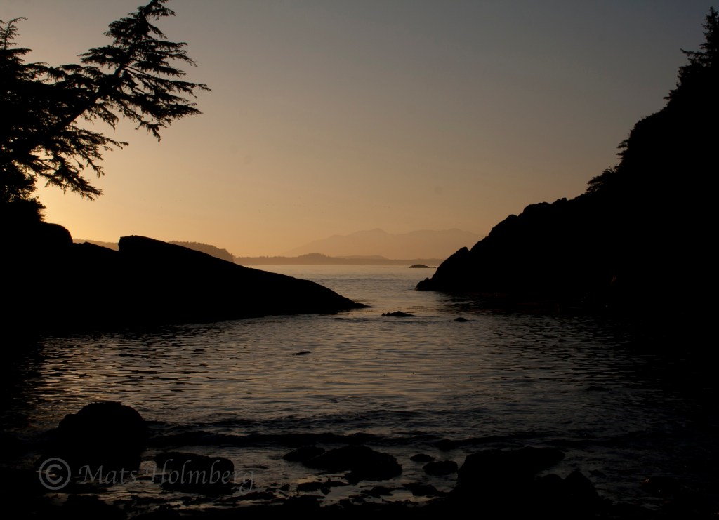 Foto Mats Holmberg Solnedgång Vancouver Island
