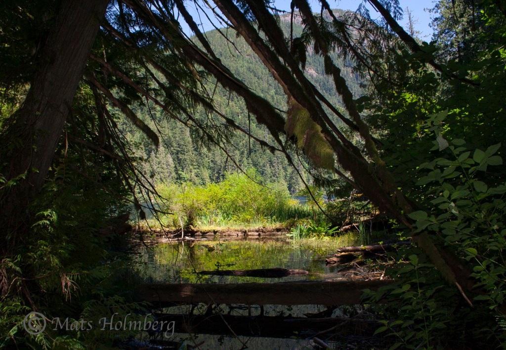 Foto Mats Holmberg Vancouver Island