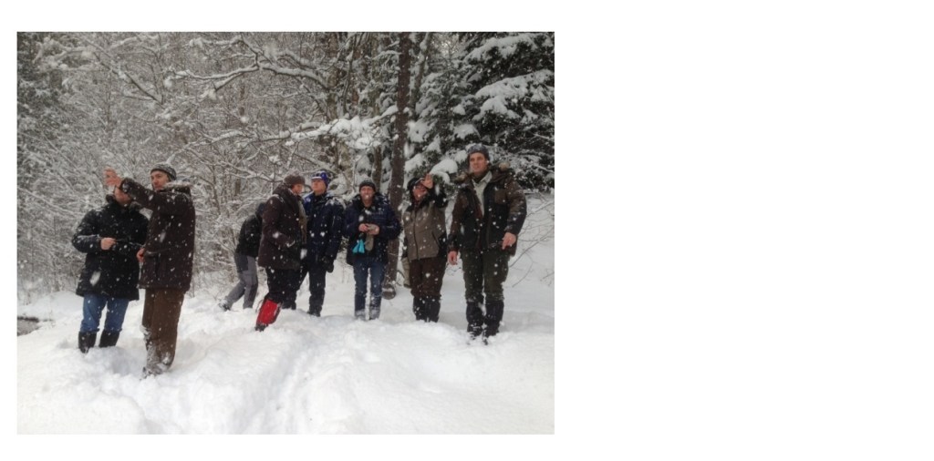 Dag 1. Projektgruppen vid Grenforsens naturreservat