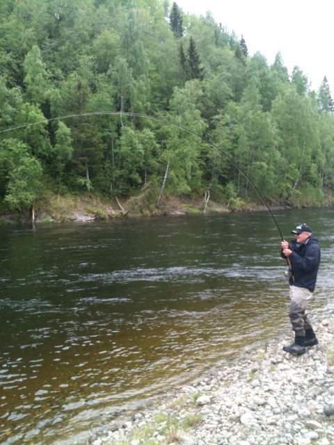 Photo Mattias Danielsson