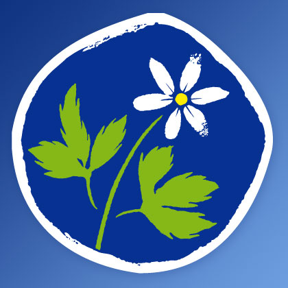 KD svarar på elcerifikatfrågorna.